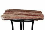 Arizona Petrified Wood Table With Metal Base #214471-1